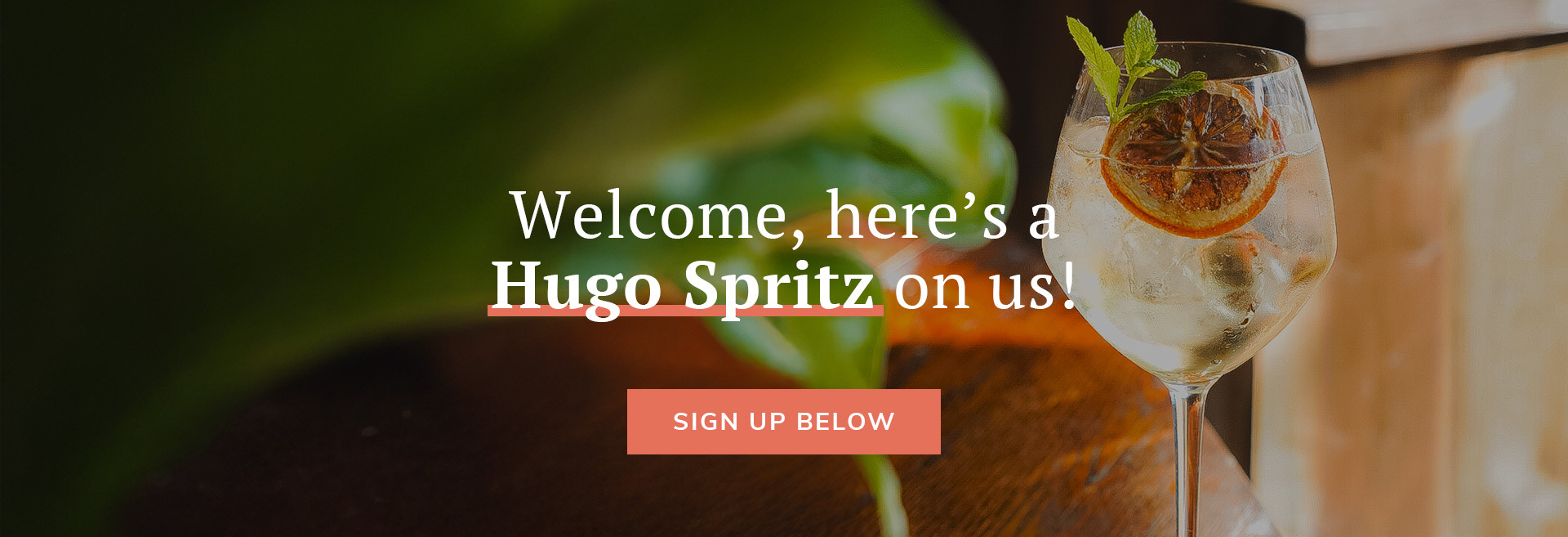 Sign up to the newsletter at Arnos Arms Southgate